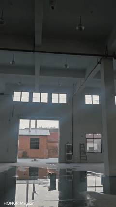 5.gif